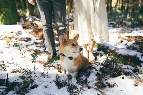 본문 이미지 -  ⓒ리프노트 