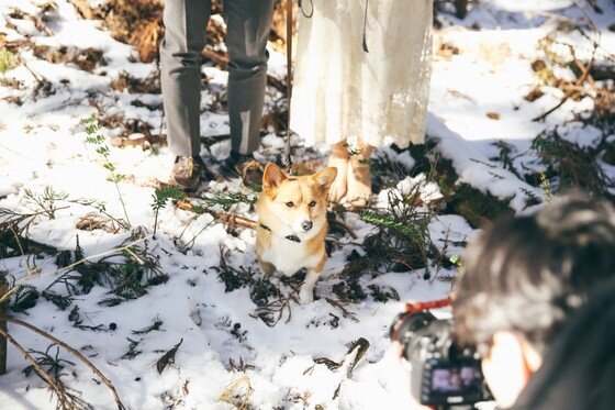 본문 이미지 -  ⓒ리프노트 