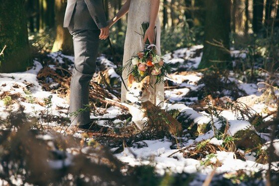 본문 이미지 - ⓒ리프노트 