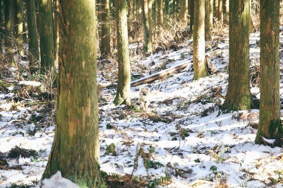 본문 이미지 -  ⓒ리프노트