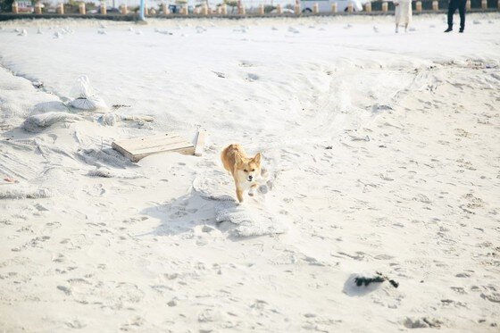 본문 이미지 -   ⓒ리프노트