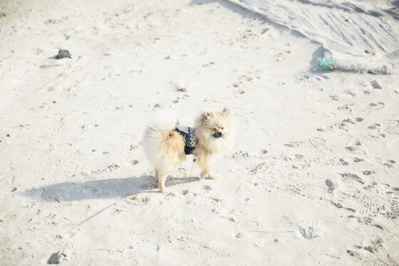 본문 이미지 - ⓒ리프노트