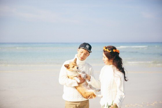 본문 이미지 -  ⓒ리프노트