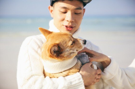 본문 이미지 -  ⓒ리프노트