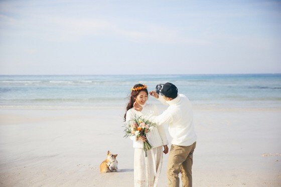 본문 이미지 -  ⓒ리프노트