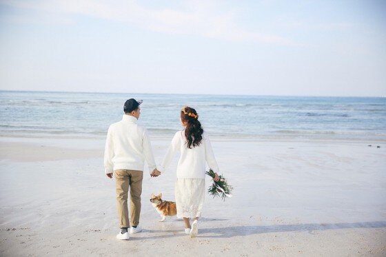 본문 이미지 -  ⓒ리프노트