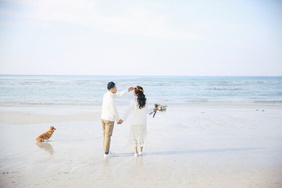 본문 이미지 -  ⓒ리프노트