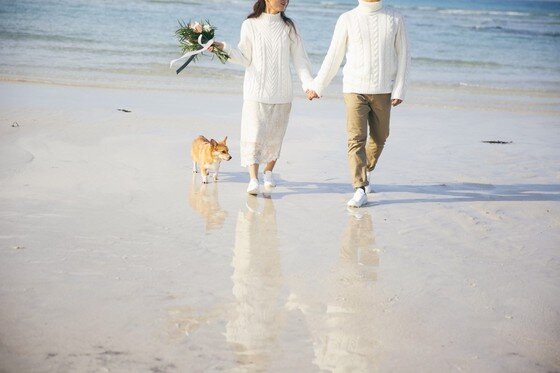 본문 이미지 -  ⓒ리프노트