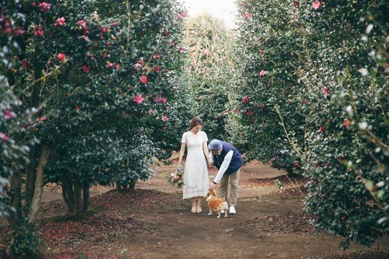 본문 이미지 - ⓒ리프노트 