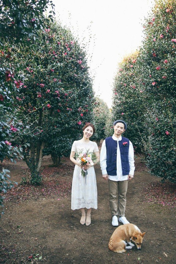 본문 이미지 - ⓒ리프노트 