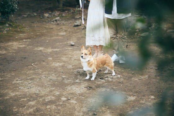 본문 이미지 - ⓒ리프노트