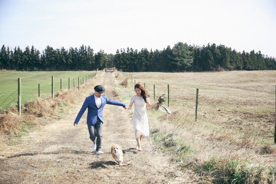 본문 이미지 - ⓒ리프노트 