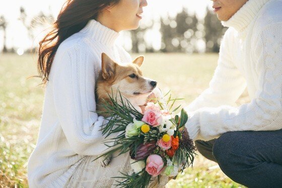 본문 이미지 -  ⓒ리프노트