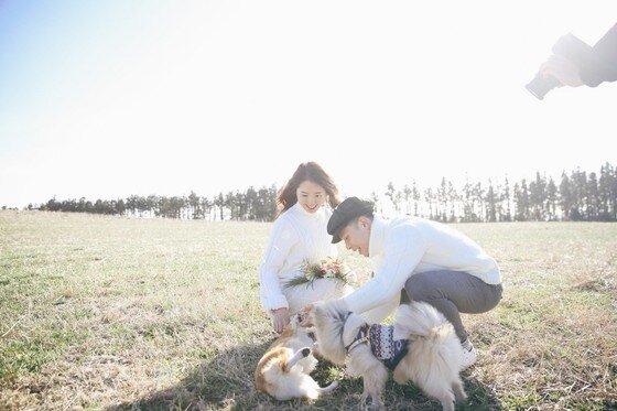 본문 이미지 - ⓒ리프노트 