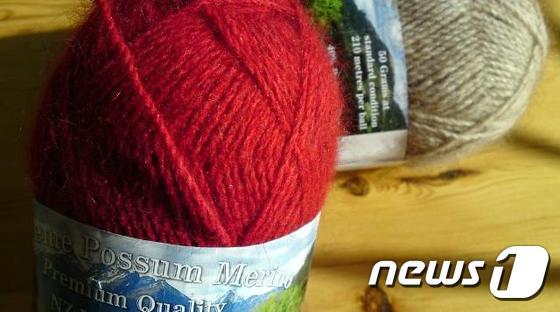 본문 이미지 - 포섬 메리노. 뉴질랜드관광청(By Roxie Carpenter) 제공.ⓒ News1