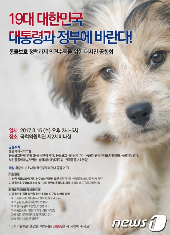 차기 대통령과 새 정부에 바라는 동물보호 정책과제는? - 뉴스1