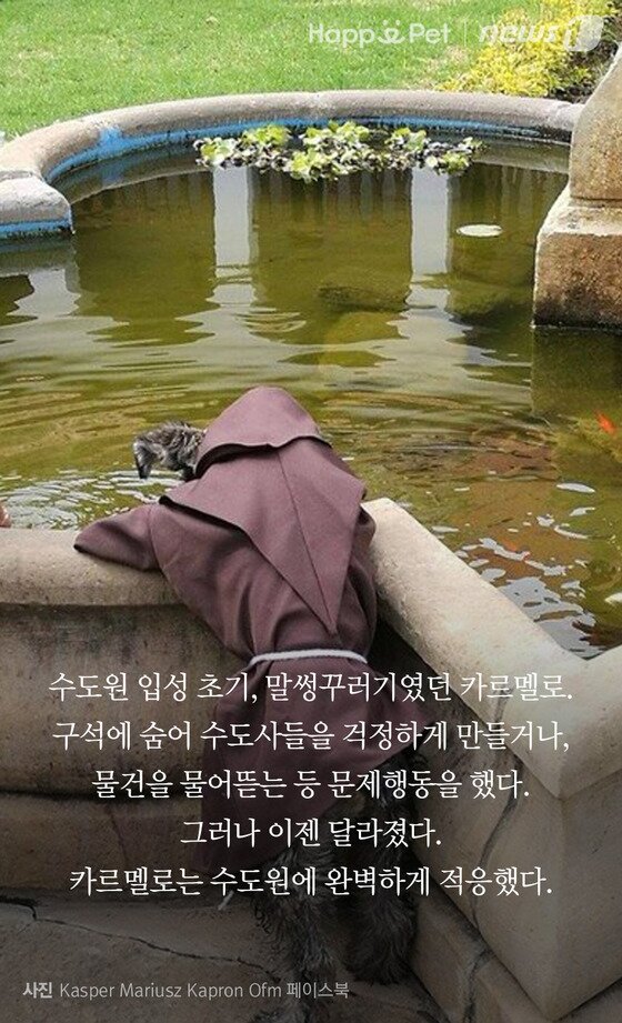 본문 이미지 -  