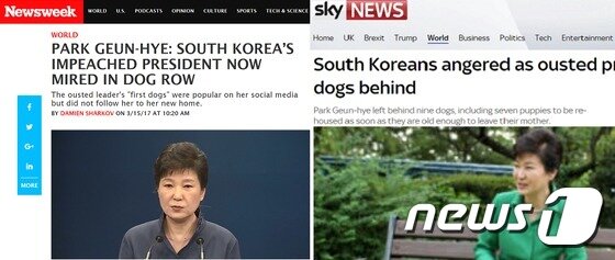 본문 이미지 - 주요 외신들도 박근혜 전 대통령이 청와대에 개를 두고 떠나 논란이 된 상황에 대해 관심을 갖고 보도했다.(사진 뉴스위크, 스카이뉴스 기사 캡처)ⓒ News1