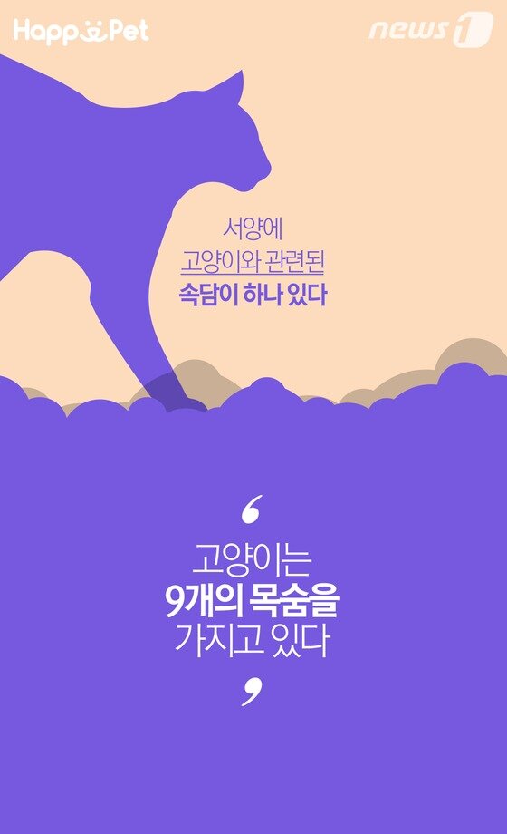 본문 이미지 -  