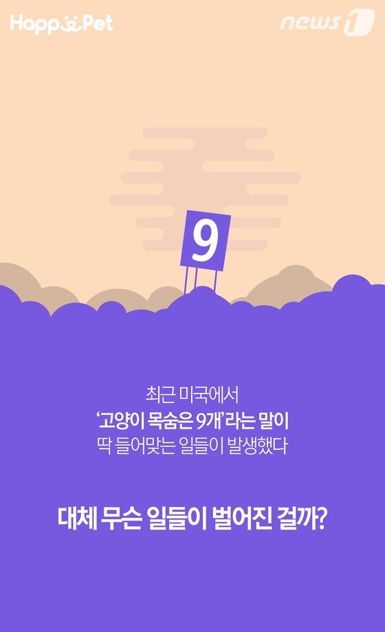 본문 이미지 -  