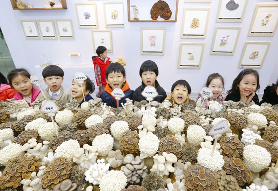 곤충 활용해 동충하초 재배…농진청, 현장설명회 개최