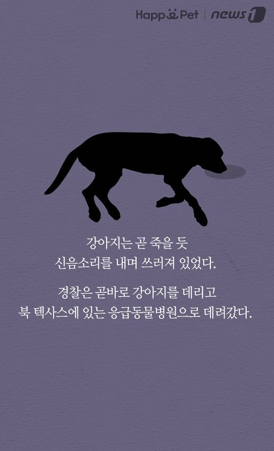 본문 이미지 -  