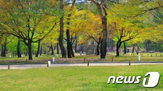 본문 이미지 - 창경궁 관천대 봄 풍경(문화재청 제공)ⓒ News1