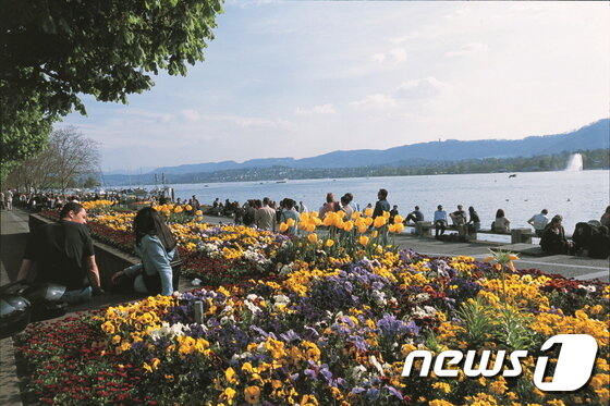 본문 이미지 - 취리히 질발트 자연공원. 스위스관광청 제공.ⓒ News1
