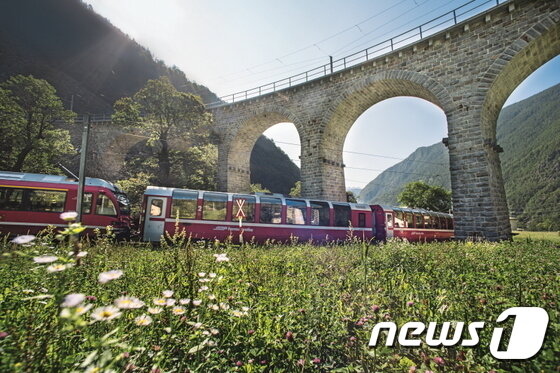 본문 이미지 - 들꽃 풍경을 파노라마로 즐길 수 있는 베르니나 특급 열차. 스위스관광청 제공.ⓒ News1