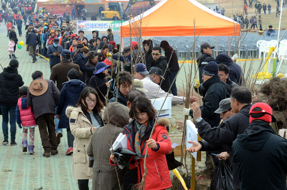 "새 희망 심으세요"…14일 제주들불축제장서 묘목 나눔 행사