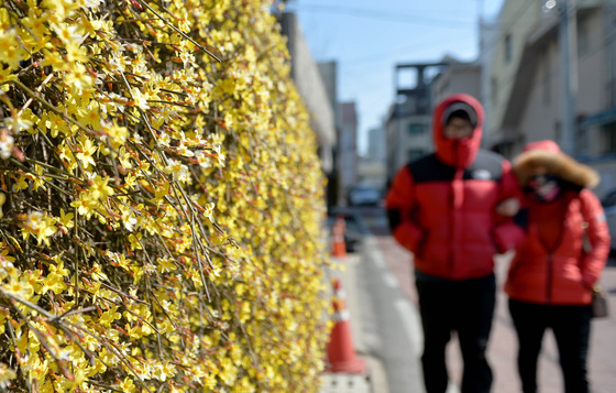 [오늘의 날씨] 대전·충남(7일, 금)…기온 '뚝' 아침 영하권