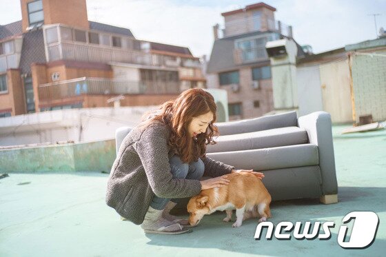 본문 이미지 - ⓒ News1