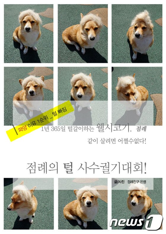 본문 이미지 - ⓒ News1