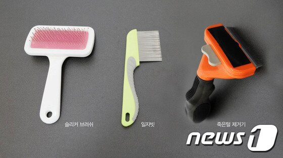 본문 이미지 - ⓒ News1