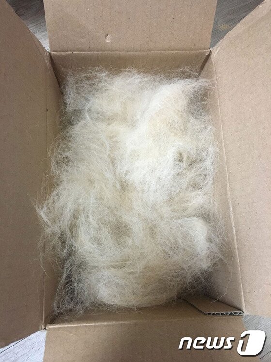 본문 이미지 - ⓒ News1