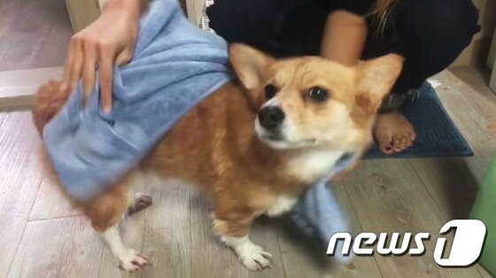 본문 이미지 - ⓒ News1