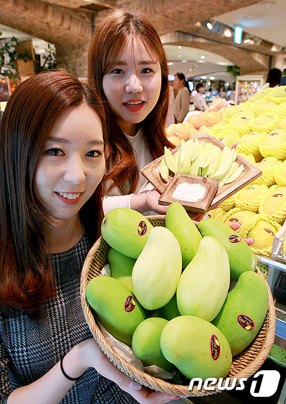 (서울=뉴스1) = 11일 오전 서울 현대백화점 압구정본점 지하 1층 식품관에서 직원이 '태국 그린 망고'를 소개하고 있다.현대백화점은 전국 15개 점포의 식품관에서 태국산 '그린 …