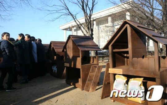 본문 이미지 - 국회 후생관 앞 잔디광장에 설치된 길고양이 급식소의 모습. ⓒ News1 손형주 기자