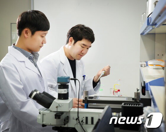 본문 이미지 - 강세원 연구원과 조승세 연구원이 바 코팅 기법으로 대면적 은 나노와이어 투명전극을 만들고 있다. ⓒ News1