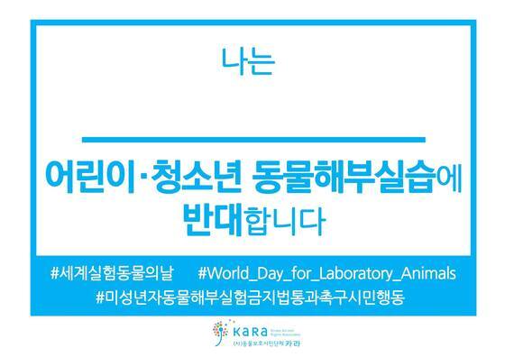 본문 이미지 - ⓒ News1