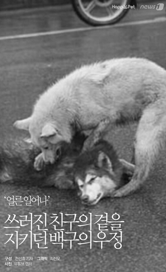 본문 이미지 -  