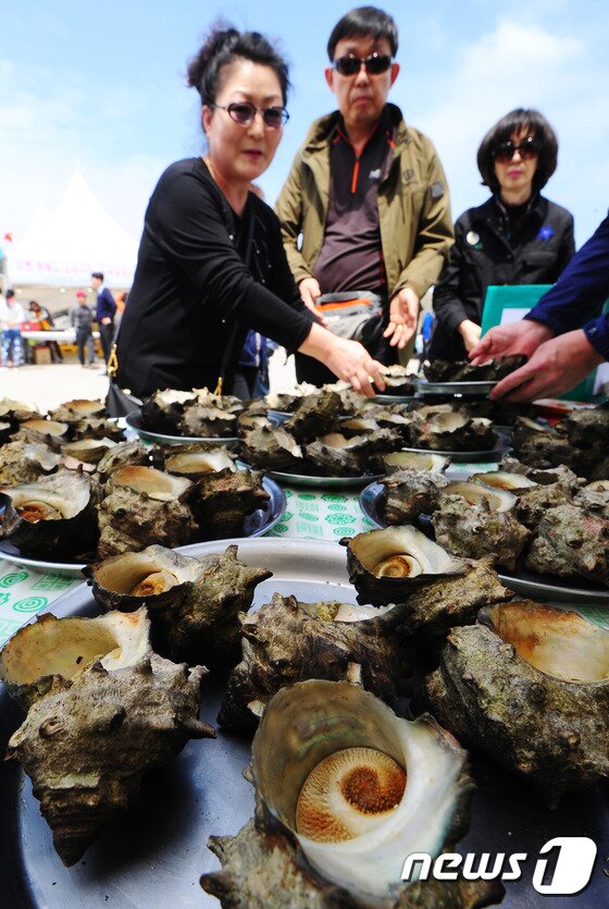 본문 이미지 - 21일 제주시 우도에서 개막한 제9회 우도소라축제에서 관광객들이 소라 시식을 위해 소라를 고르고 있다.2017.4.21/뉴스1 ⓒ News1 이석형 기자