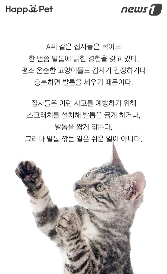 본문 이미지 -  