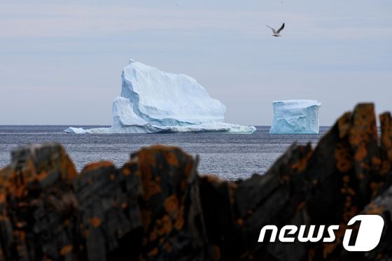 [사진] 캐나다 해안가에 떠내려온 거대 빙하