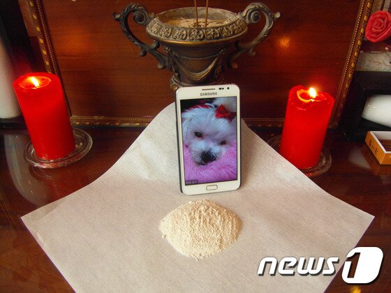 본문 이미지 - 한 줌도 안 되는 재가 되어 버린 팅커벨. ⓒ News1