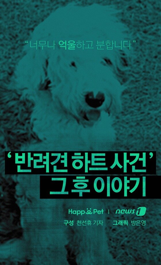 본문 이미지 - ⓒ News1