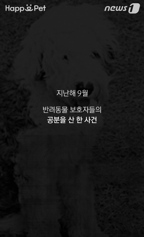 본문 이미지 - ⓒ News1