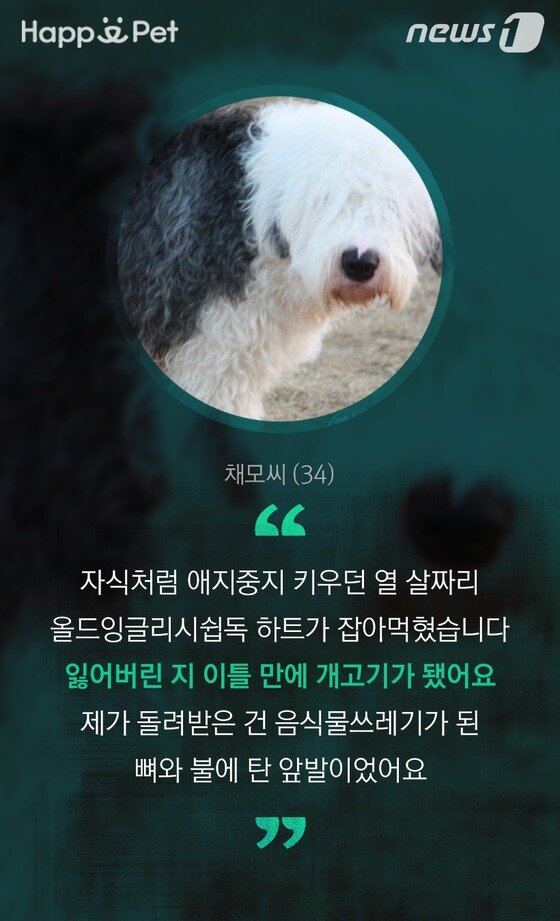 본문 이미지 - ⓒ News1 