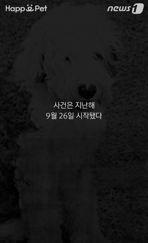 본문 이미지 - ⓒ News1 