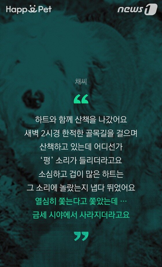 본문 이미지 - ⓒ News1 